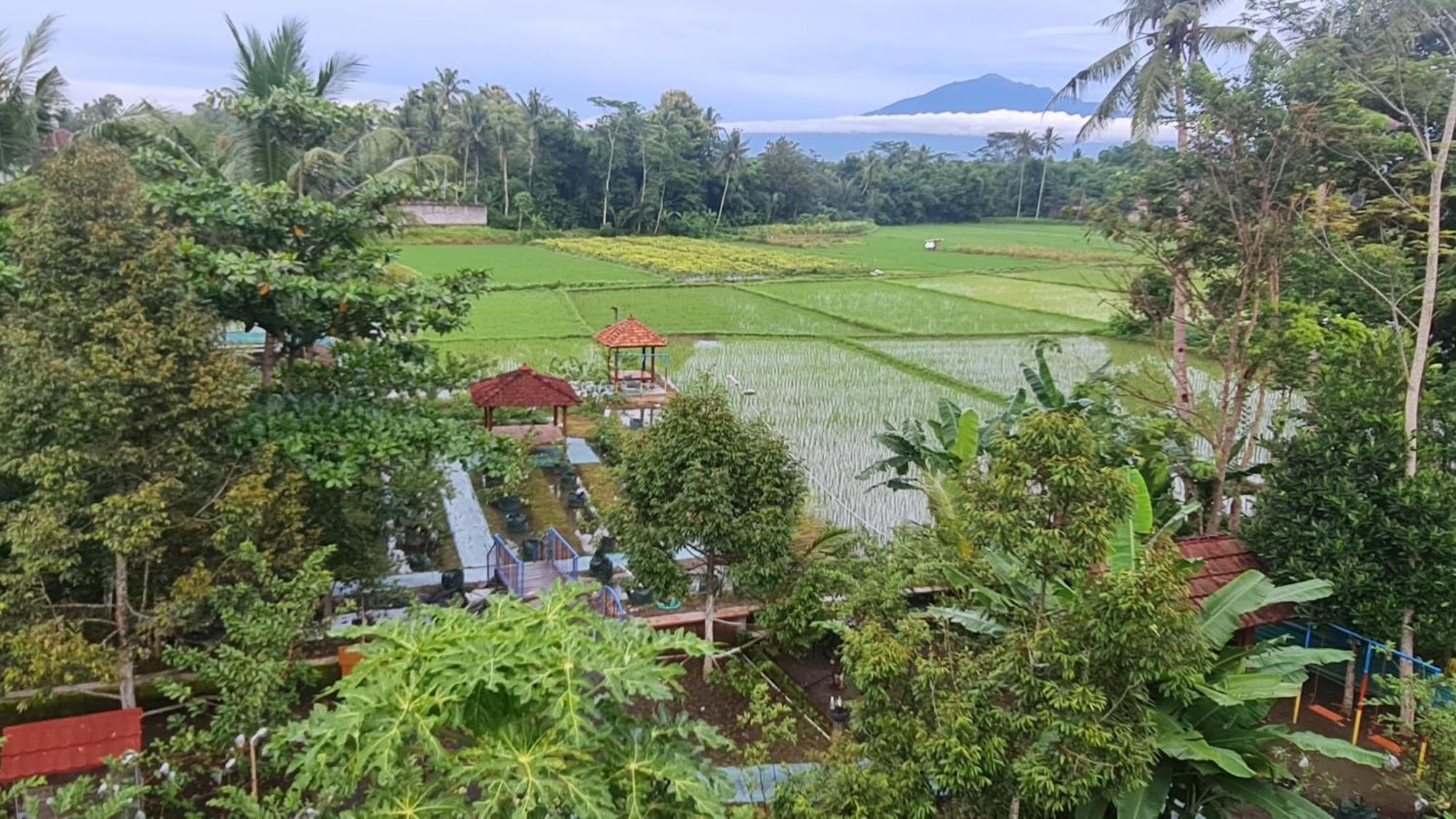 Anugrah Borobudur Magelang Eksteriør bilde