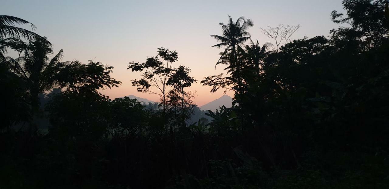 Anugrah Borobudur Magelang Eksteriør bilde